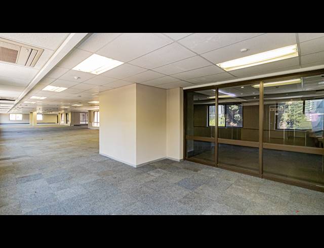 1,575M² OFFICE TO LET IN PARKTOWN
